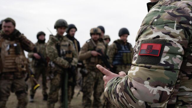 Украинские военные