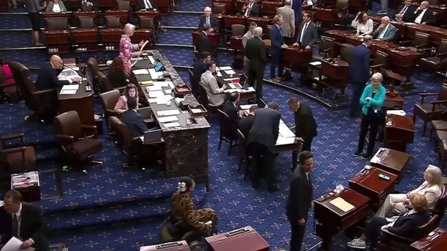 Сенатор-демократ упала при голосовании против военных поставок США в Израиль Сенатор-демократ упала при голосовании против военных поставок США в Израиль