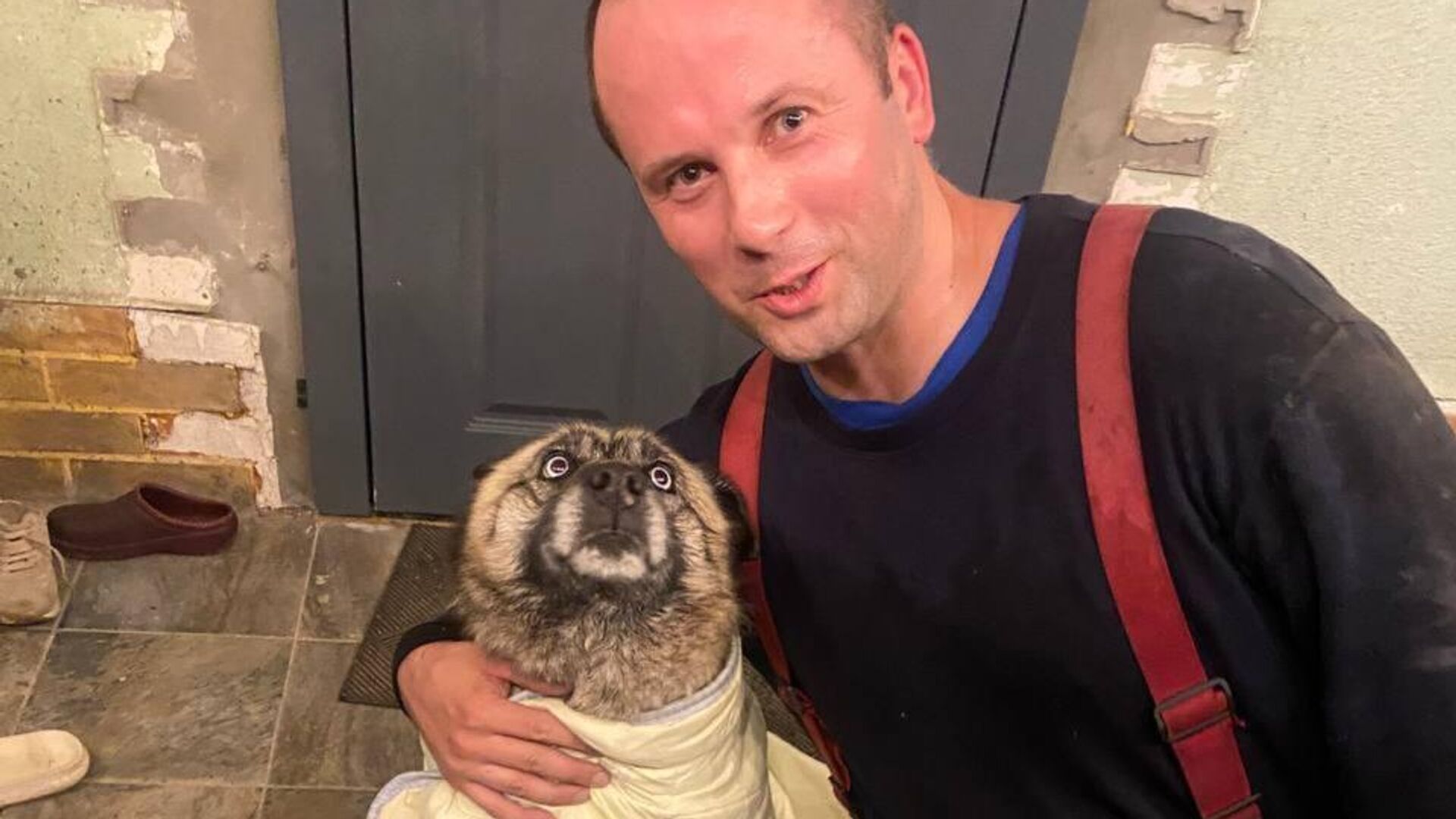 Сотрудники МЧС спасли хаски из девятиметрового колодца с водой в поселке Васильково Калининградской области - РИА Новости, 1920, 01.08.2025