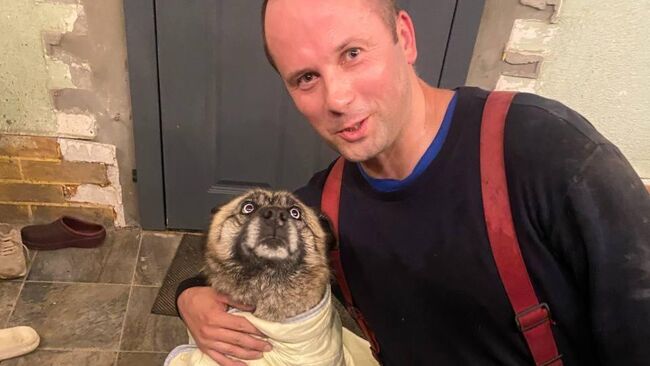 Сотрудники МЧС спасли хаски из девятиметрового колодца с водой в поселке Васильково Калининградской области