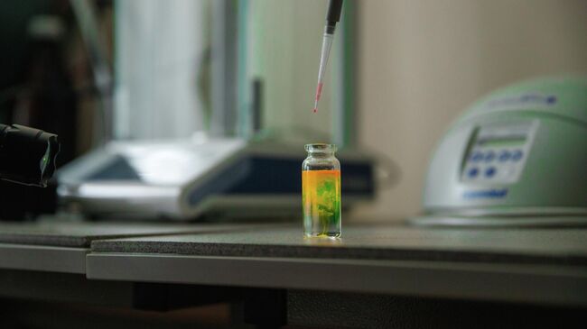 В лаборатории биофотоники СФУ изучаются свойства люминесцентных материалов