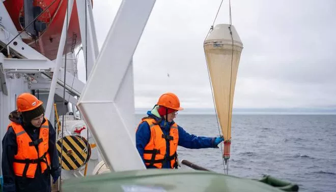 Arctic Floating University Expedition, Vilchek Island