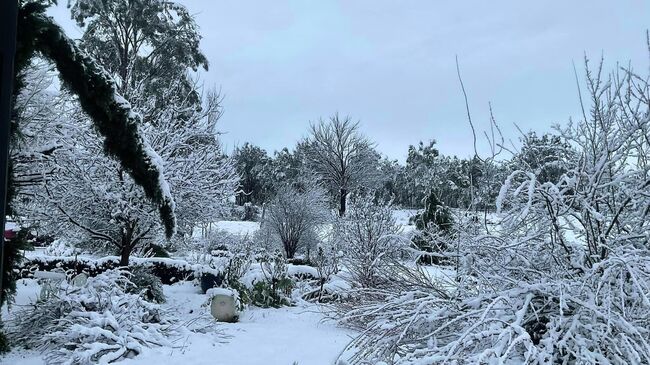 Августовский снегопад в Австралии