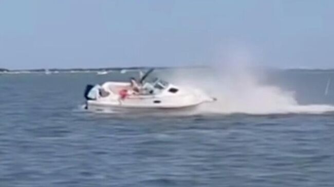 Лодка врезалась в кита у побережья штата Нью-Джерси в США