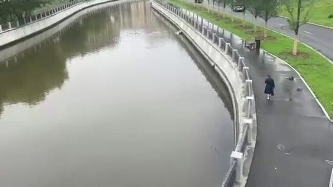 Специалисты не выявили следов загрязняющих веществ в русле реки Яуза в Москве