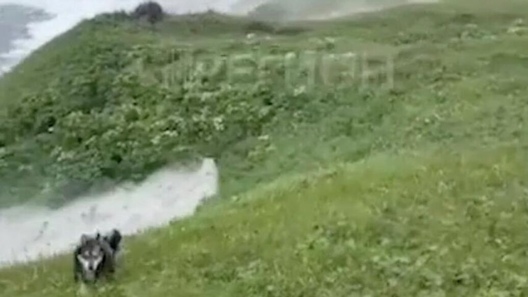 Очевидец измерил волну цунами после мощного землетрясения на Камчатке