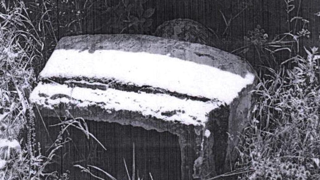 На Украине снесли последний памятник Ленину