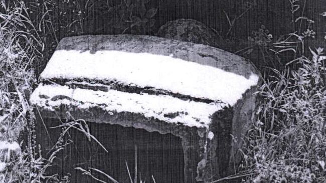 Демонтаж памятника Владимиру Ленину в селе Рудковцы Хмельницкой области  Демонтаж памятника Владимиру Ленину в селе Рудковцы Хмельницкой области