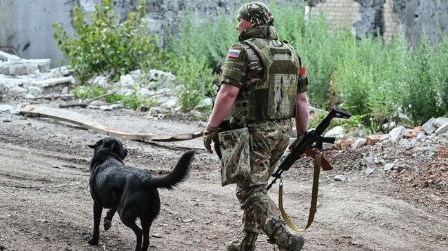 Боец ВС России с собакой на Красноармейском направлении специальной военной операции