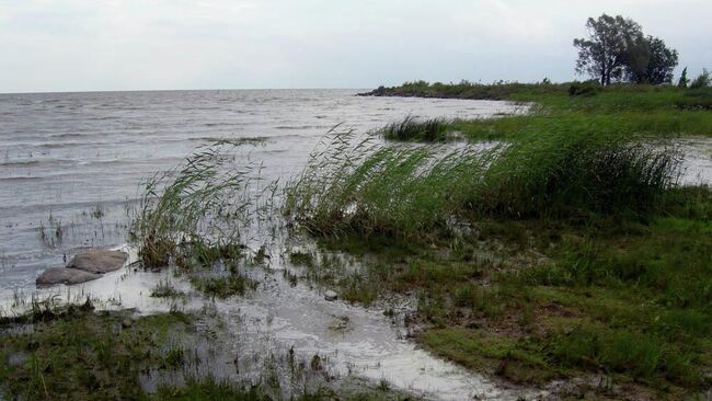 Вид на Чудское озеро