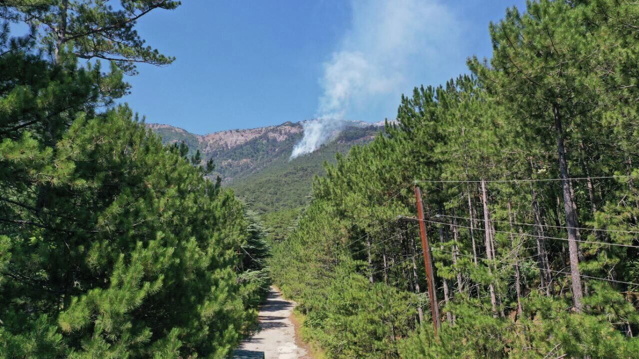 Пожар на территории природного заповедника в Крыму - РИА Новости, 1920, 09.08.2025
