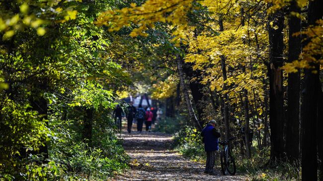 Осень в Москве