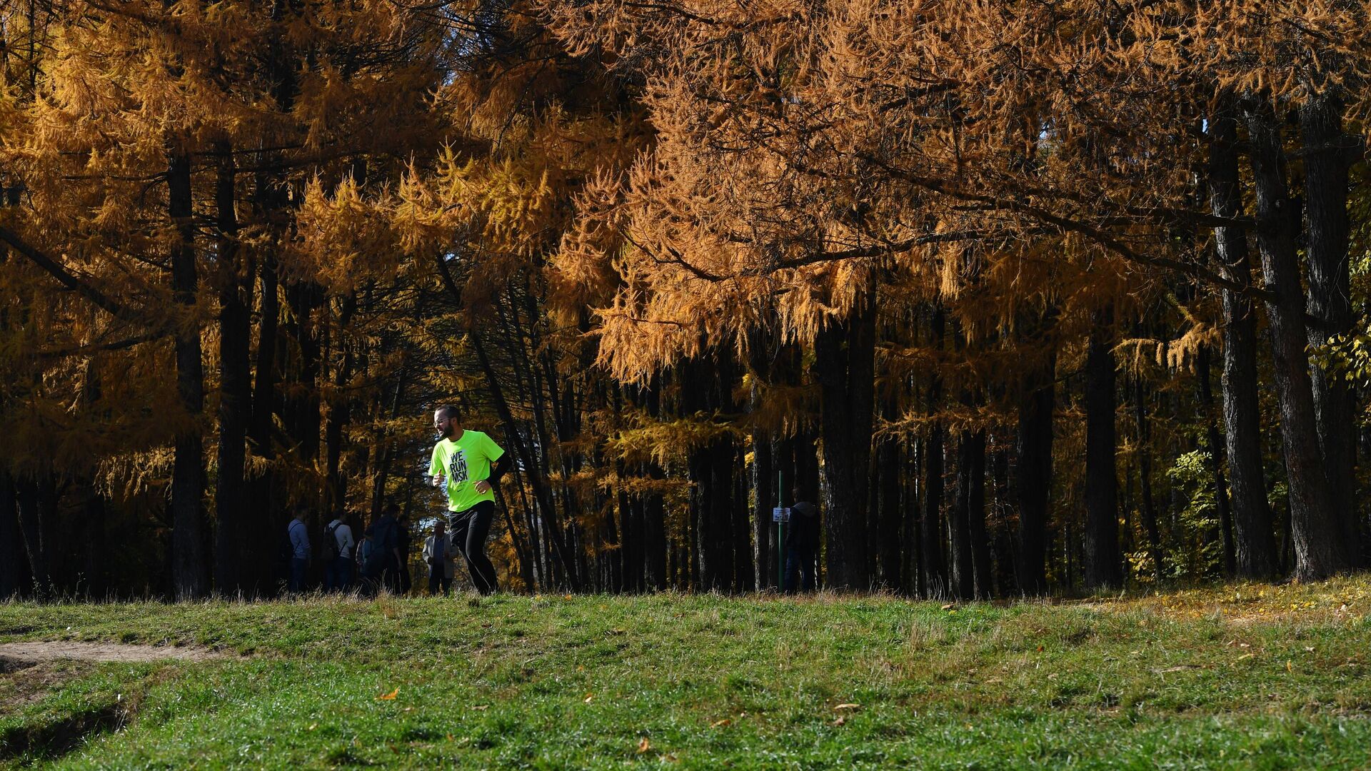 Мужчина на пробежке в Тимирязевском парке Москвы - РИА Новости, 1920, 30.09.2025