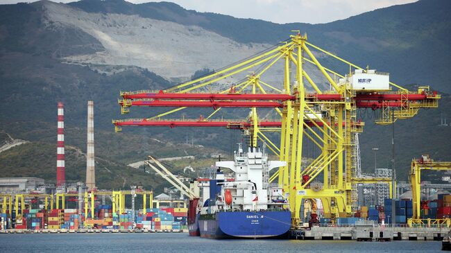 Контейнерные портовые краны в Новороссийском морском торговом порту