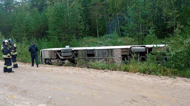 Слетевший в кювет автобус в Красноярском крае