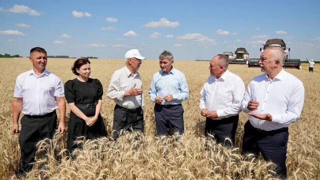 Глава Республики Чувашия Олег Николаев на поле КФХ Анатолия Петрова в Яльчикском округе