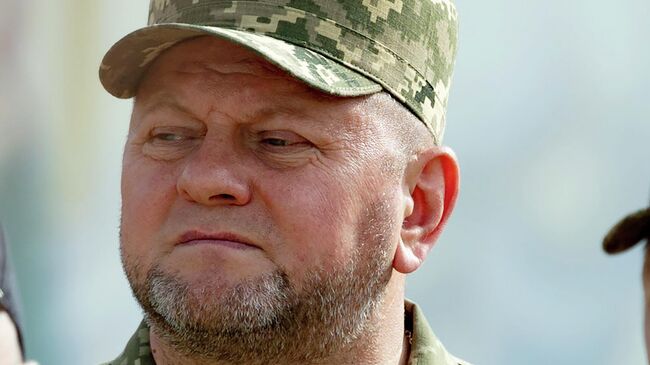 Валерий Залужный