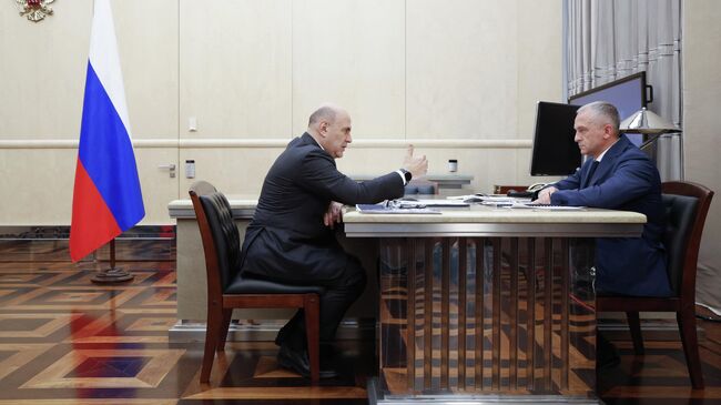 Председатель правительства РФ Михаил Мишустин и руководитель Федеральной службы по аккредитации Дмитрий Вольвач во время встречи. 13 августа 2025