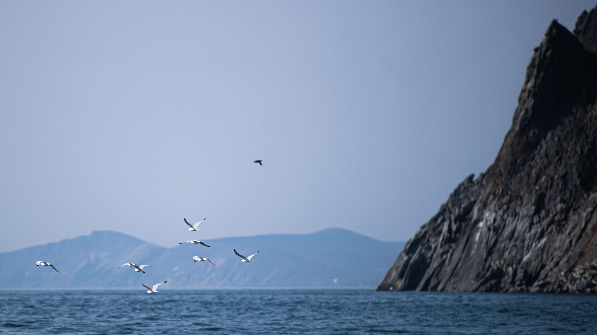 Море - РИА Новости, 1920, 30.08.2025