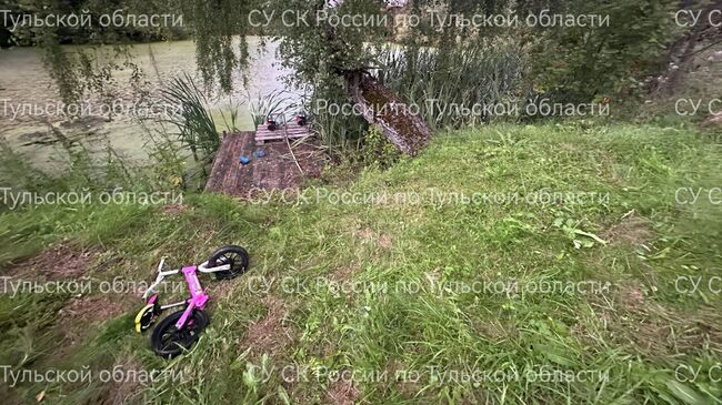 Место проишествия в Дубенском районе Тульской области