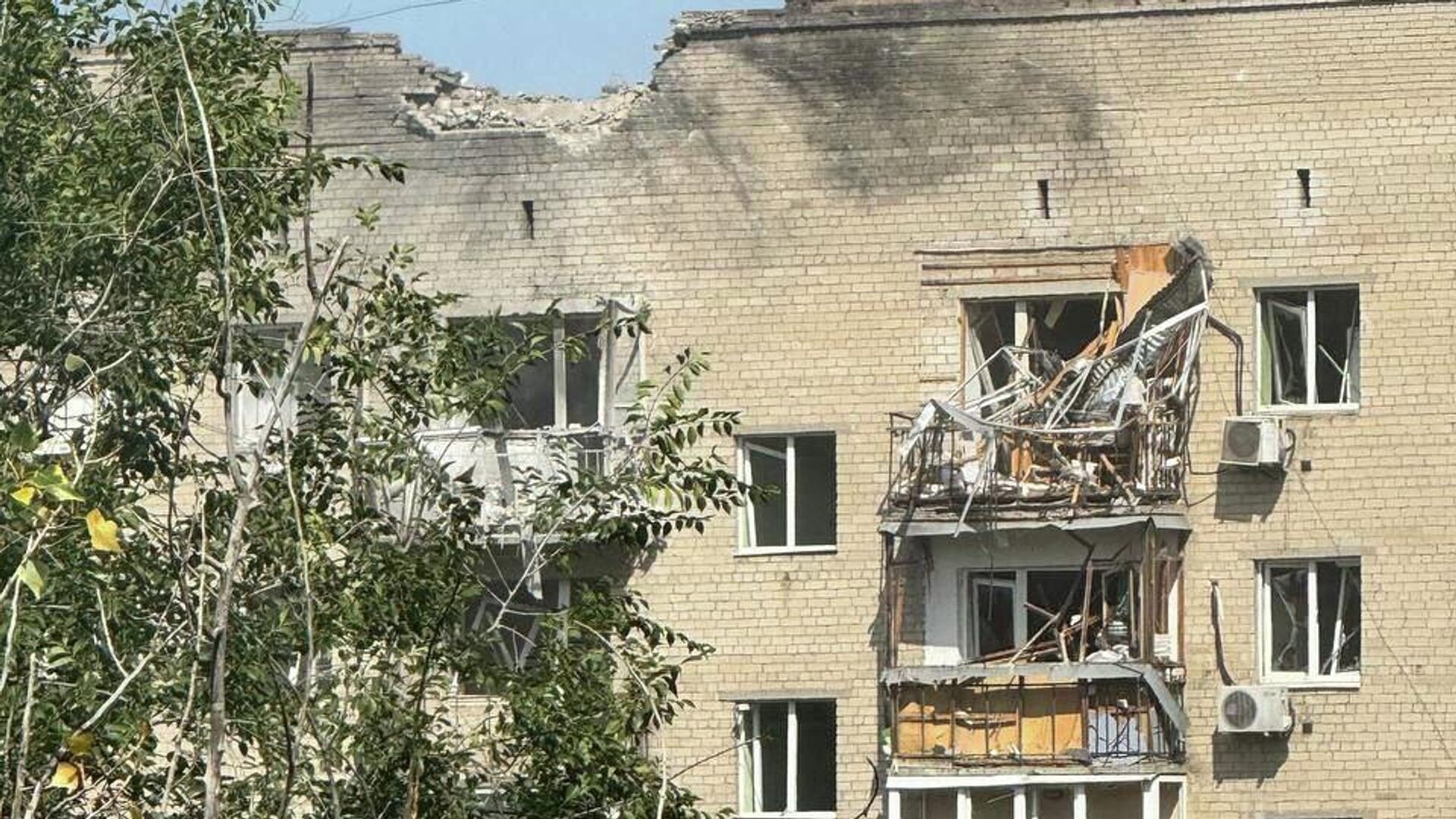 https://cdnn21.img.ria.ru/images/07e9/08/0e/2035191801_0:370:960:910_1920x0_80_0_0_028e56f0ff1b20e359992e3ee2482d1b.jpg