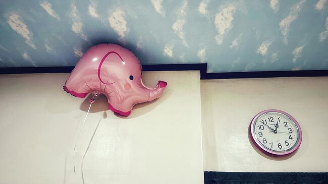 Снимок Who lost the elephant balloon? фотографа из Тайваня Leo Huang, победивший в категории Lifestyle конкурса IPPAWARDS 2025