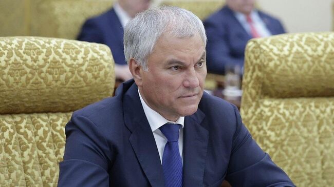 Председатель Государственной думы Вячеслав Володин  Председатель Государственной думы Вячеслав Володин