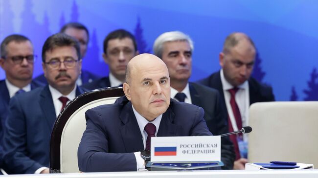 Председатель правительства РФ Михаил Мишустин на заседании Евразийского межправительственного совета в Киргизии