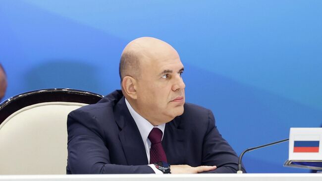 Председатель правительства РФ Михаил Мишустин на заседании Евразийского межправительственного совета в Киргизии