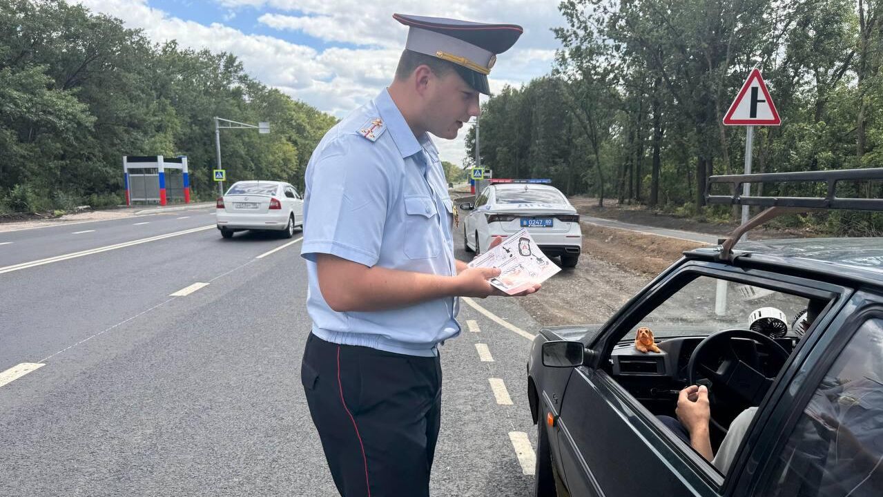 В Госавтоинспекции призвали проработать маршруты от дома до школы с детьми В Госавтоинспекции призвали проработать маршруты от дома до школы с детьми - РИА Новости, 1920, 15.08.2025
