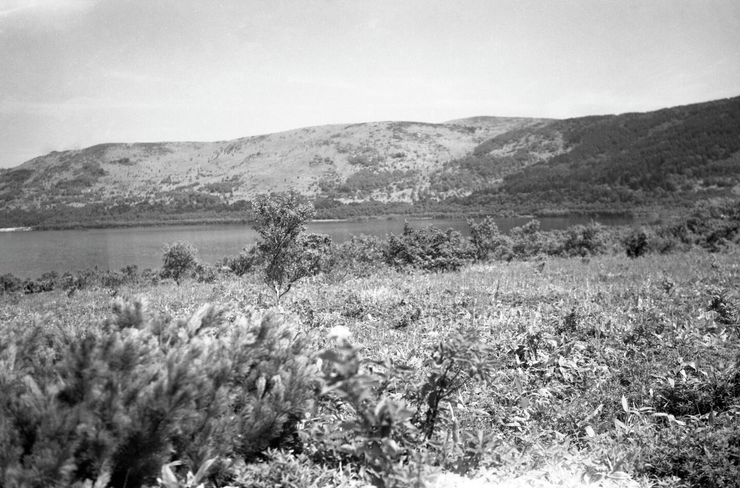 Вид на озеро Горячее, расположенное в кальдере вулкана Головнина на острове Кунашир Вид на озеро Горячее, расположенное в кальдере вулкана Головнина на острове Кунашир