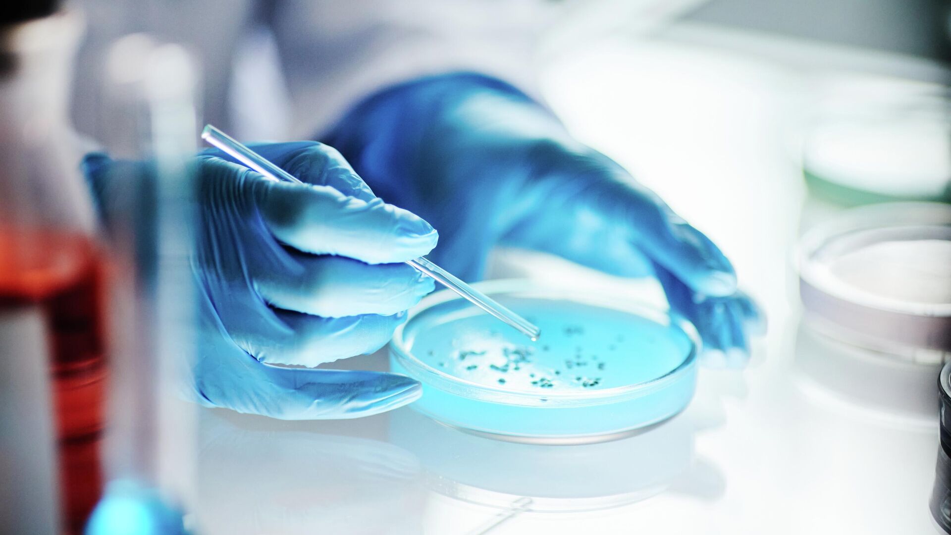Чашка Петри в лаборатории Чашка Петри в лаборатории - РИА Новости, 1920, 18.08.2025