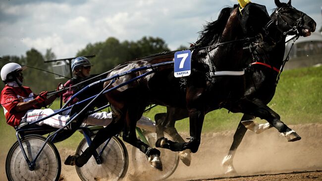 Конный фестиваль 