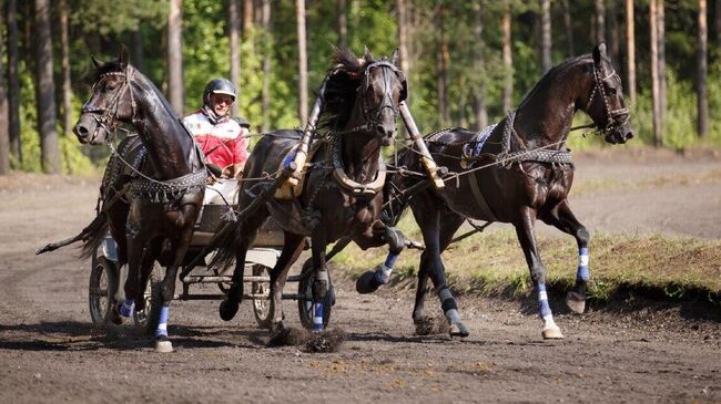 Экипаж русской тройки