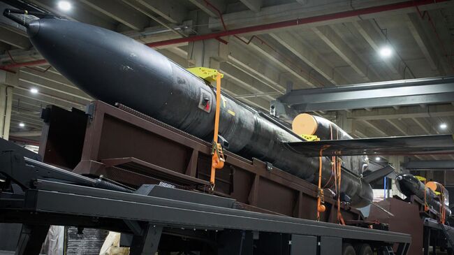 Предполагаемая украинская ракета Фламинго