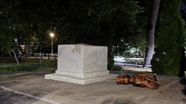 Деревянная скульптура упала на малолетнего ребенка в парке в Саратове