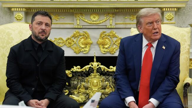 Президент США Дональд Трамп и Владимир Зеленский во время встречи в Овальном кабинете Белого дома