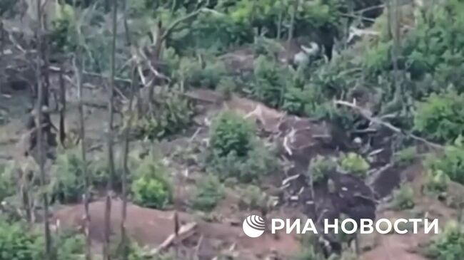 Десантники показали одновременный бой штурмовиков на земле и БПЛА в небе