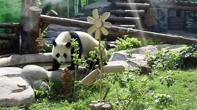 Цветок из бамбука для панды Катюши