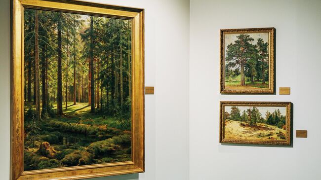 Выставка Ивана Шишкина из собрания Русского музея Выставка Ивана Шишкина из собрания Русского музея
