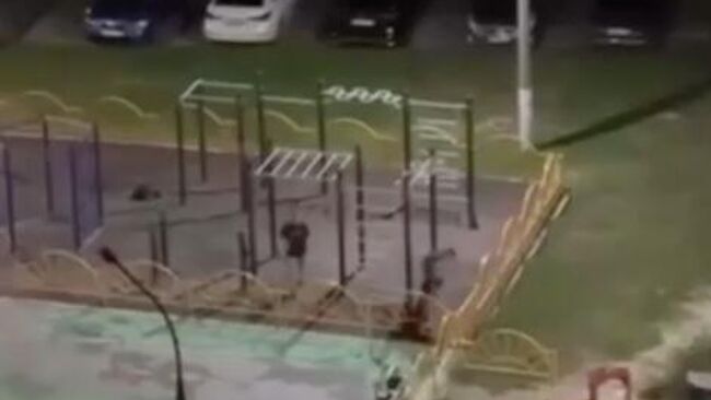 Избиение девушки на детской площадке в подмосковной Шатуре. Кадр видео