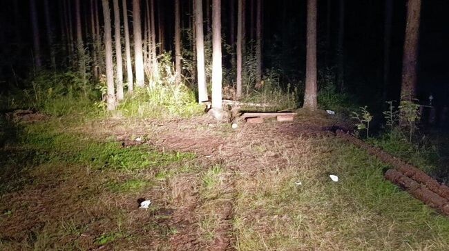 На месте взрыва мины времен Великой Отечественной войны в районе СНТ Дружба в Ленинградской области