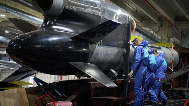 Рабочие осматривают ракету Фламинго на заводе на Украине