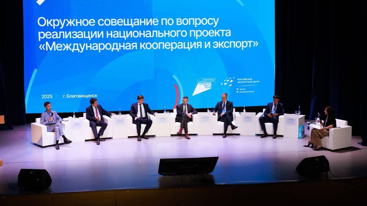 Амурская область в числе лидеров по внедрению РЭС на Дальнем Востоке - РИА Новости, 1920, 21.08.2025