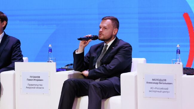 Вице-президент РЭЦ Александр Молодцов