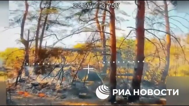 Уничтожение Ланцетом замаскированного танка Leopard на Купянском направлении  