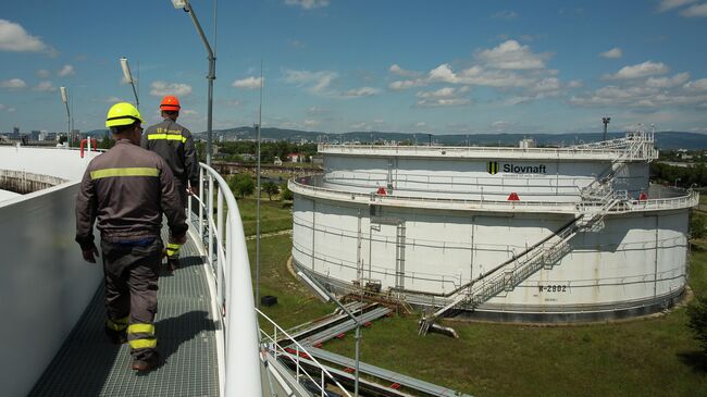 Рабочие на территории нефтеперерабатывающиего завода Slovnaft в Братиславе