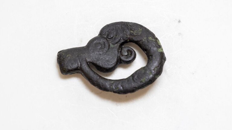 Пряжка с изображением головы горного барана