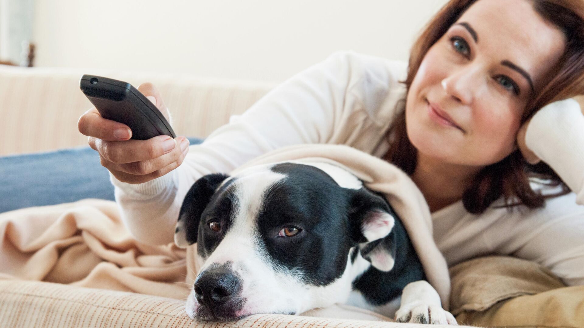 Женщина смотрит телевизор вместе с собакой - РИА Новости, 1920, 24.08.2025