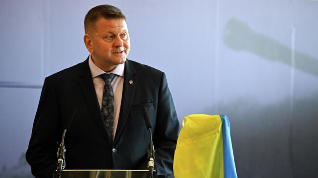 Посол Украины в Великобритании Валерий Залужный